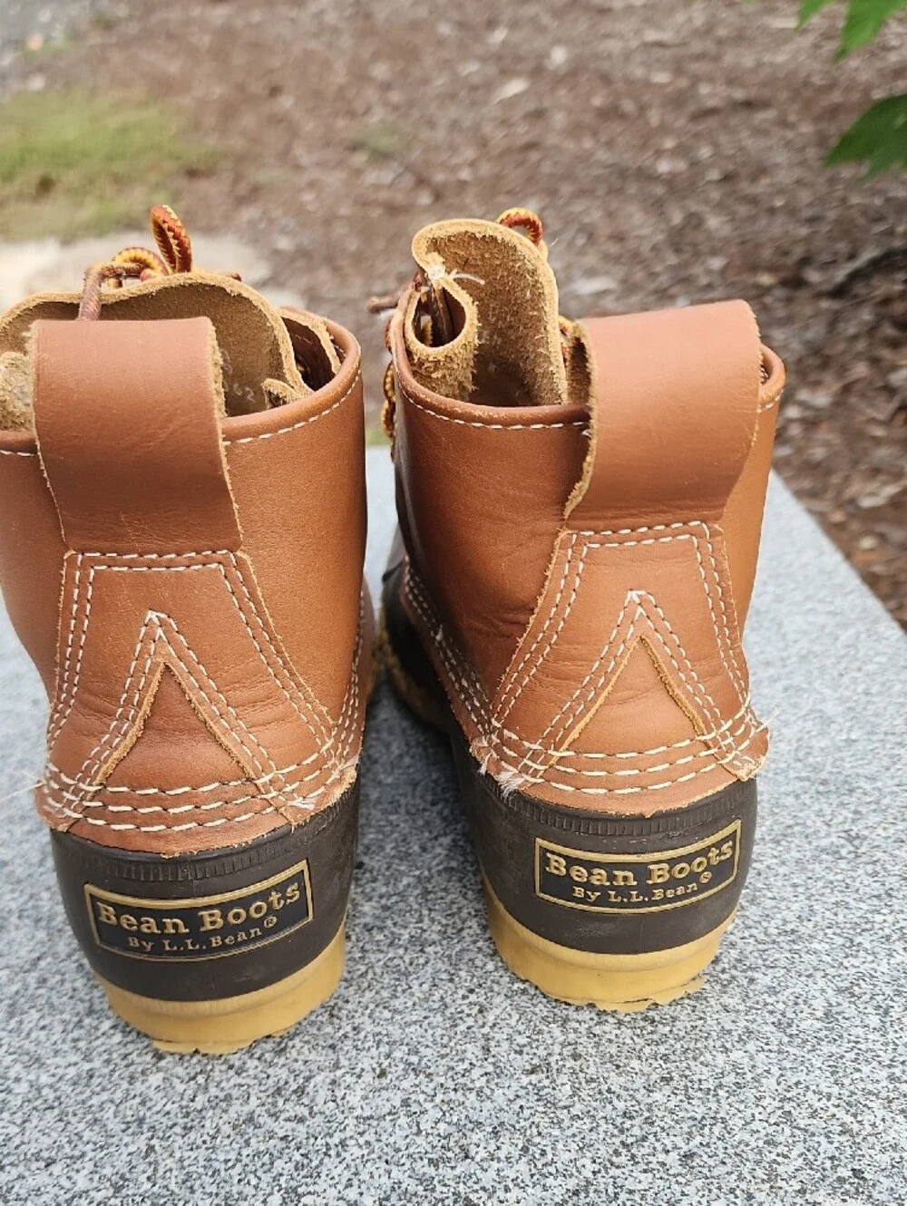 LL Bean 6